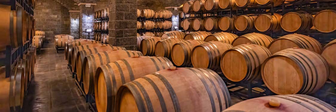 Bodega Burmester