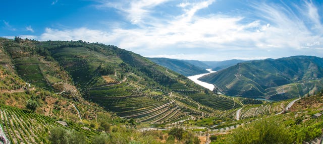 Tour pela região do Douro
