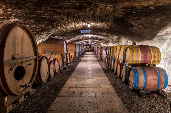 Tour de viñedos y bodegas