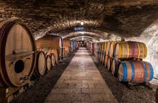 Tour de viñedos y bodegas por el Valle del Duero