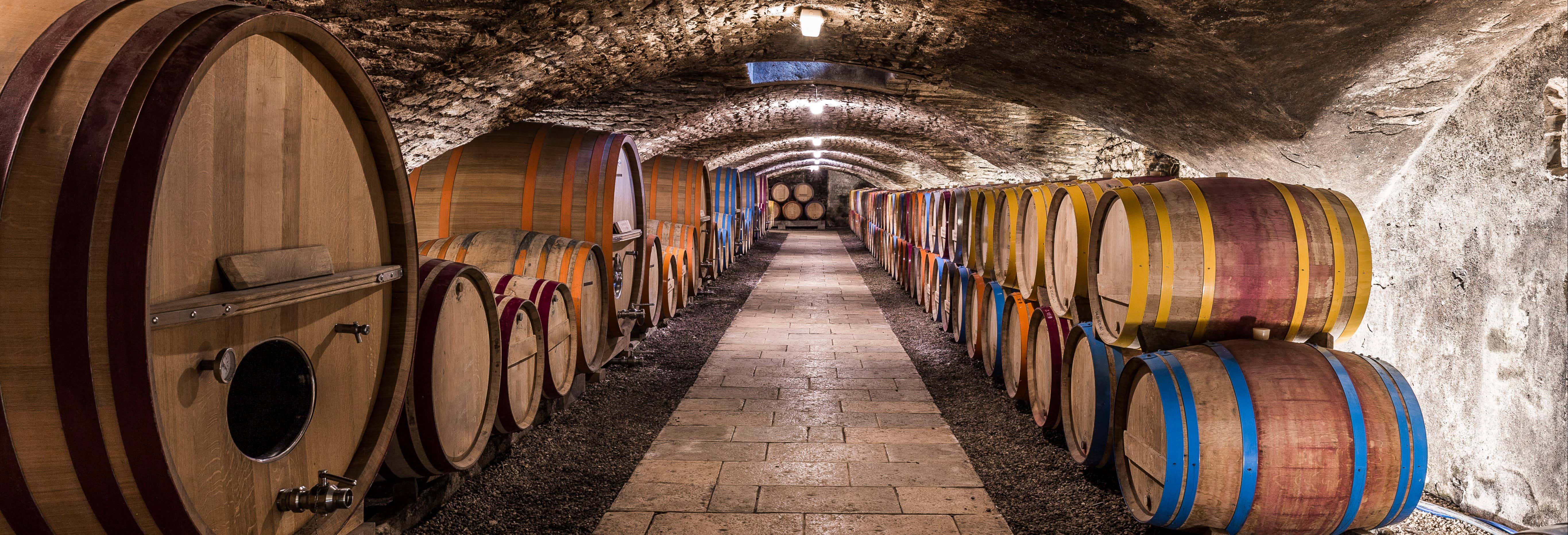 Visitas a bodega en Oporto