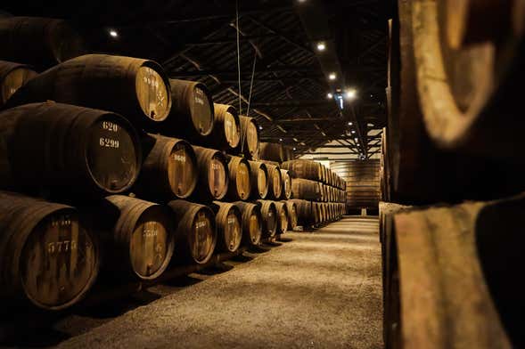 Dégustation de vins + Visite d'une cave