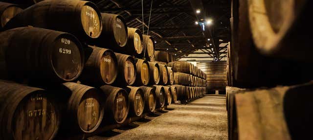 Tour de vinos por Oporto + Visita a una bodega