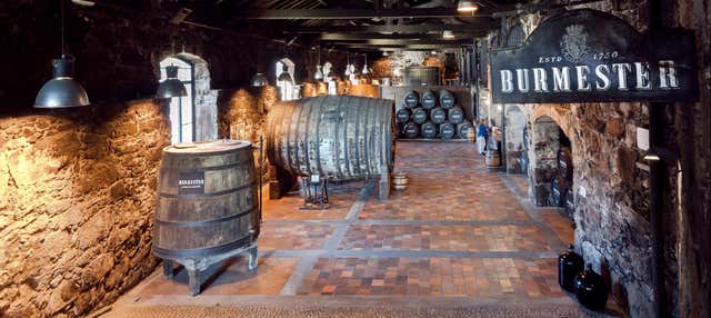 Visita guidata della cantina Burmester