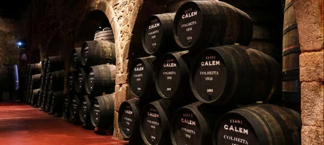 Visite de la cave à vin Cálem