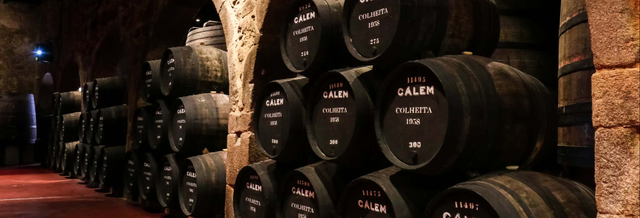 Gastronomía y enoturismo