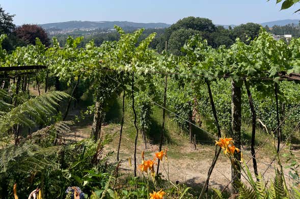Visite de la Quinta da Aveleda