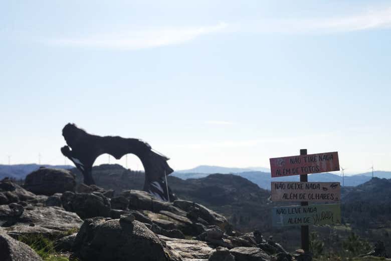 Columpio panorámico de Pena Lobo