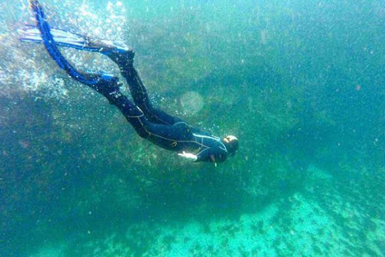 Diving in the waters of the Atlantic