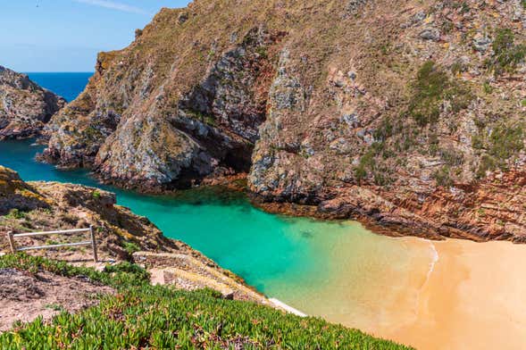 Snorkeling in Berlenga Grande