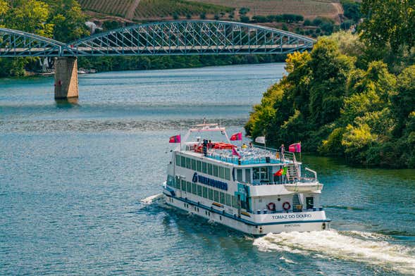Croisière sur le Douro jusqu'à Porto