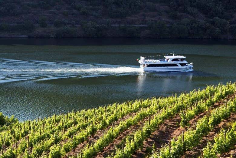 Spot vineyards