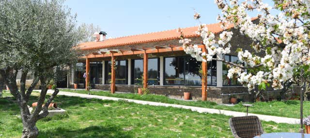 Excursión a la bodega Quinta da Avessada