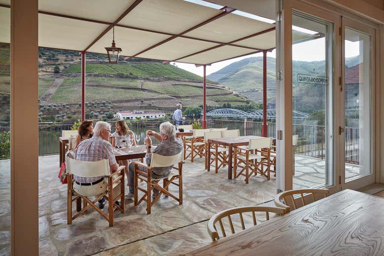 Degustando os vinhos