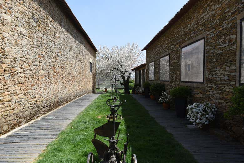 Getting to know the winemaking traditions of the Douro region