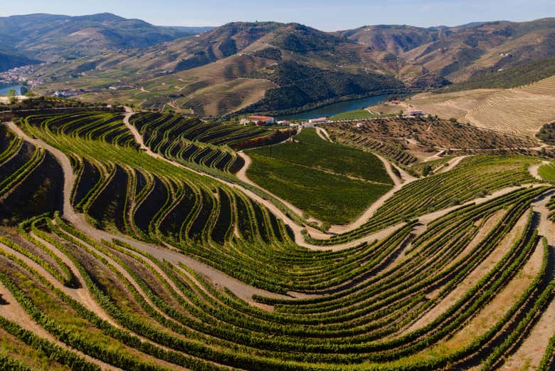 Vallée du Douro près de Pinhão