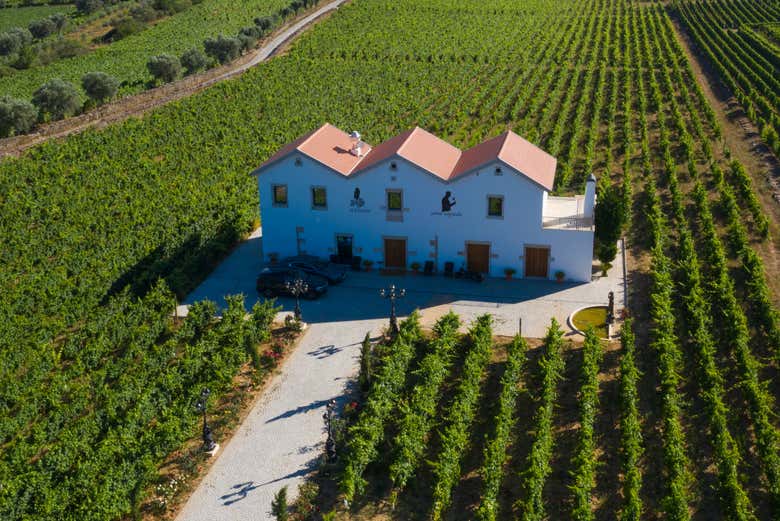 Contemplando os vinhedos da adega Quinta da Avessada