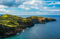 Passeio de lancha com avistamento de cetáceos