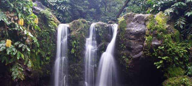 Ribeira dos Caldeirões Canyoning Activity