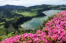 Excursión a Furnas + Plantaciones de té