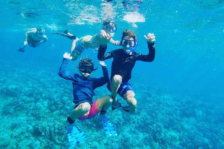 Un plan perfecto para la familia 