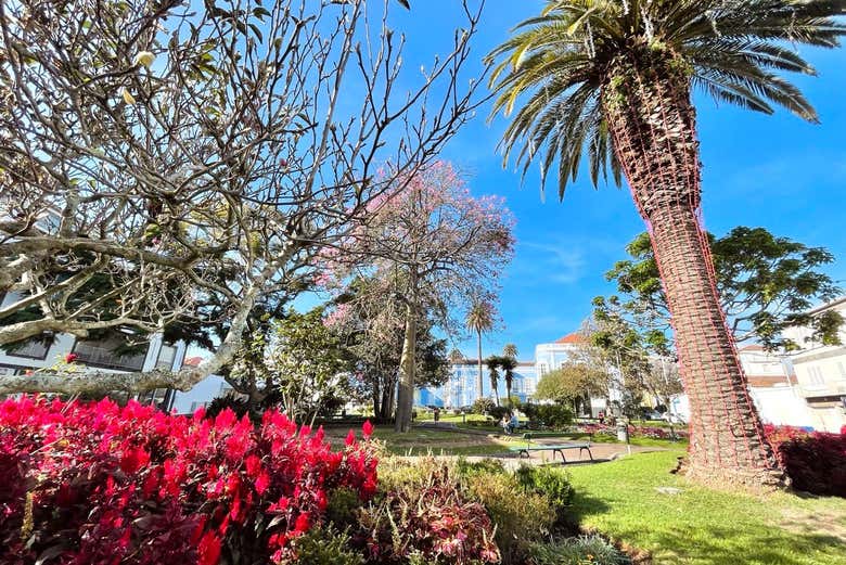 Panorámica del jardín Sena Freitas