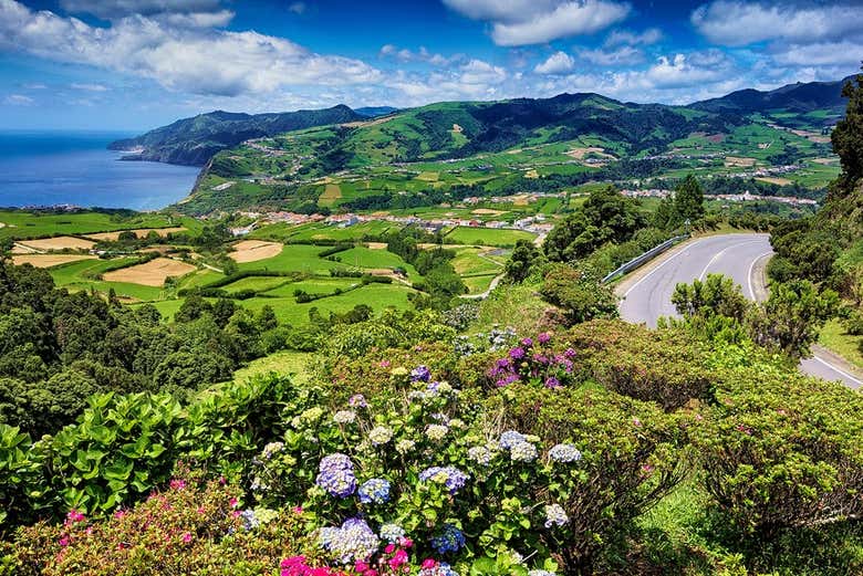Découvrez la flore des Açores