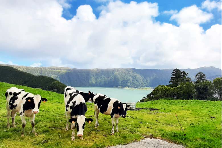 Paesaggio naturale di São Miguel