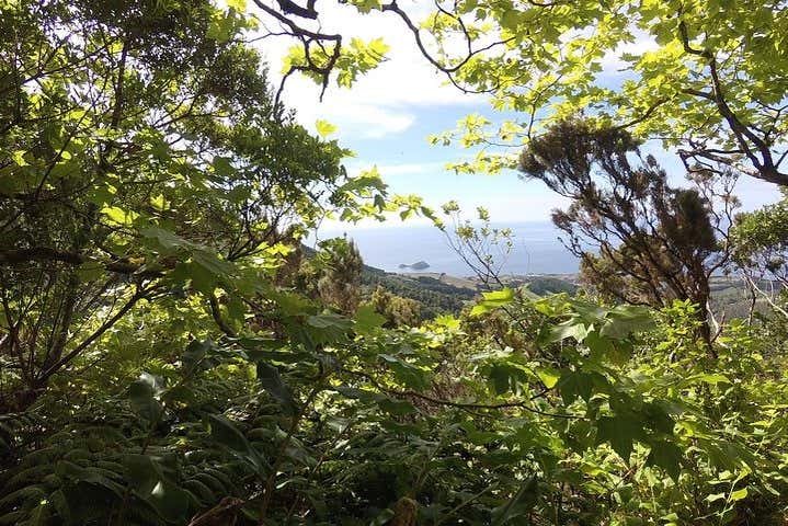 Les paysages de la randonnée