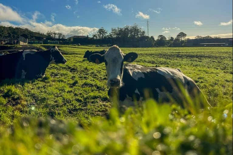 Encantadores paisajes durante el tour en 4x4