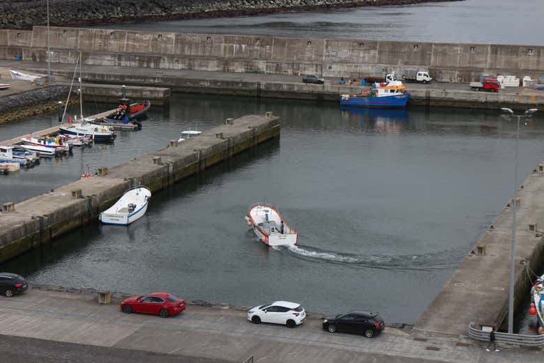 Contemplando el ambiente marinero del puerto