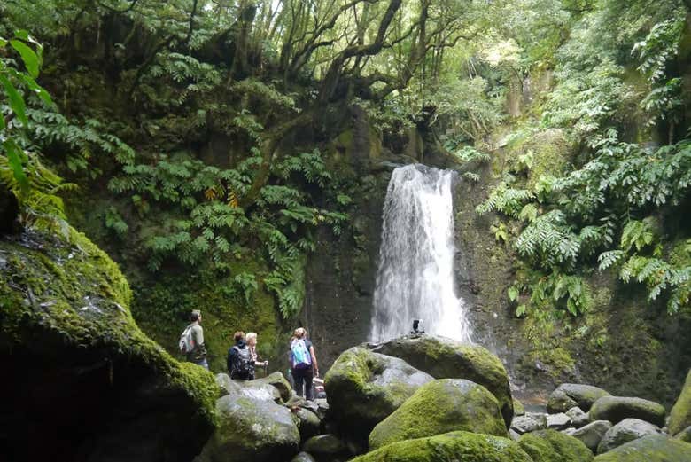 Nature de Faial da Terra