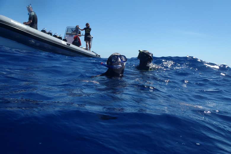 Exploring the ocean depths