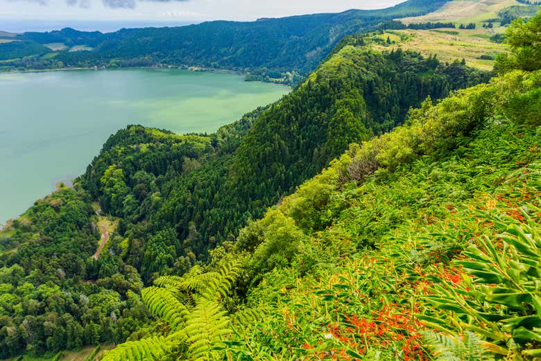 Admirez le paysage de São Miguel