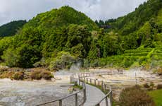 Tour en jeep por Furnas + Plantaciones de té de Gorreana