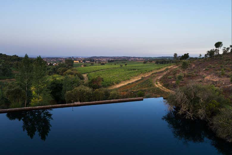 Descubriremos la naturaleza local