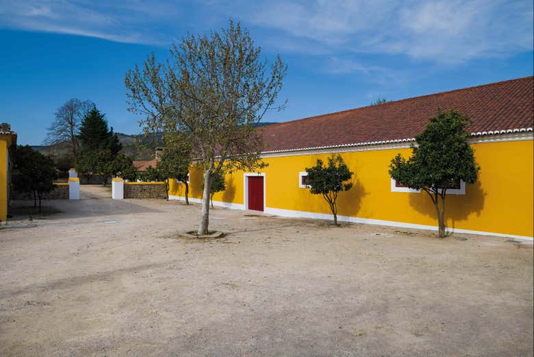 Quinta da Fonte Souto