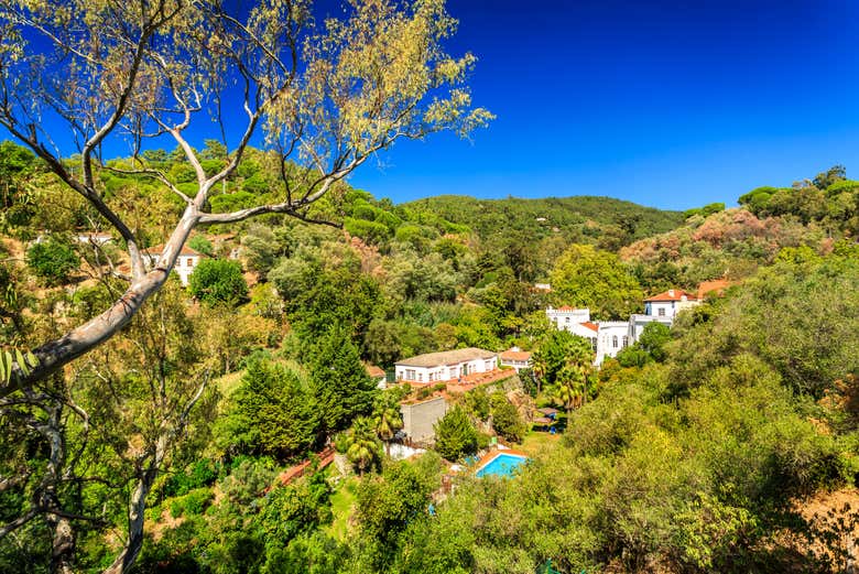 Caldas de Monchique