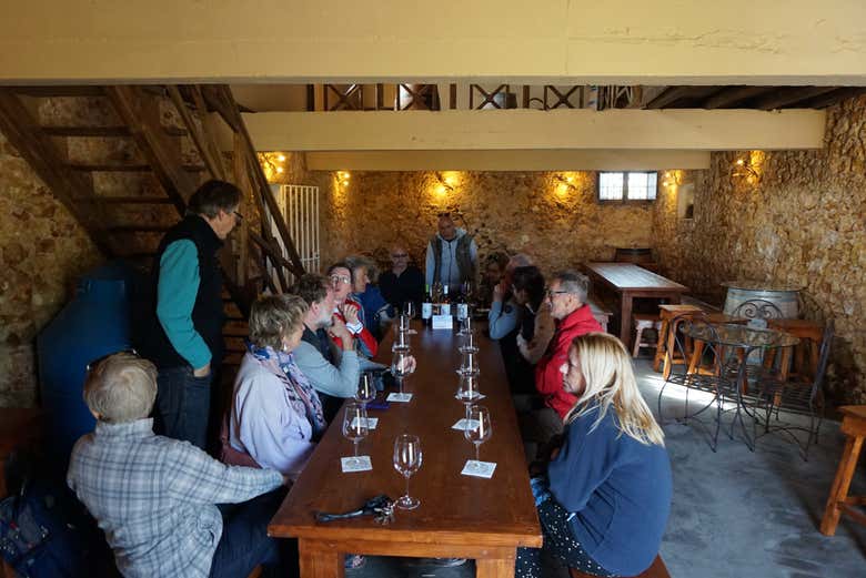 Disfrutando de una cata de vinos