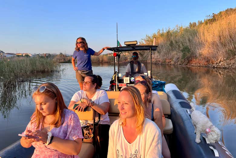 Enjoy this speedboat ride on the Arade River