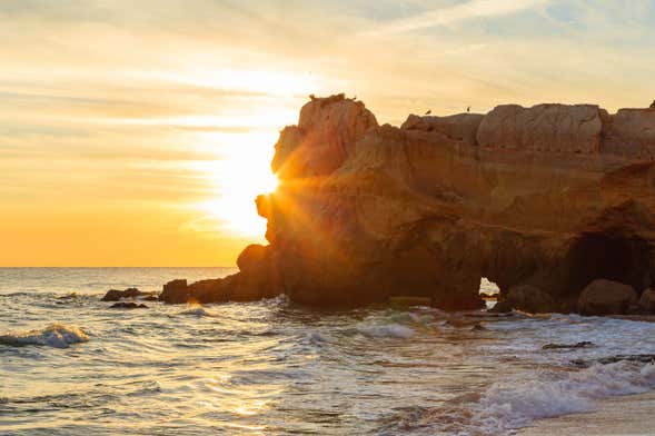 Paseo en lancha por las cuevas de Benagil al amanecer o atardecer