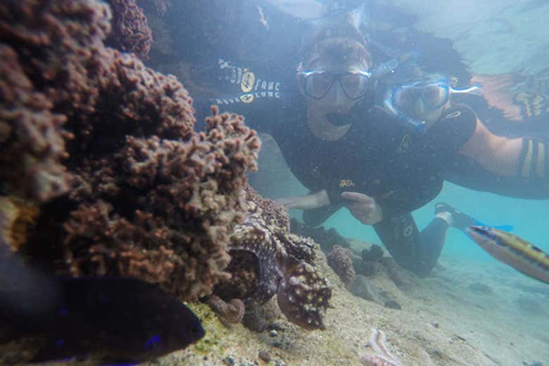 Alla scoperta dei fondali di Madeira