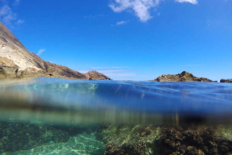 Aree marine protette