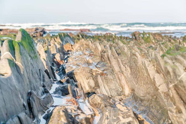 À la découverte des spécialités de l'Algarve