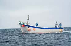 Pesca en Rabo de Peixe