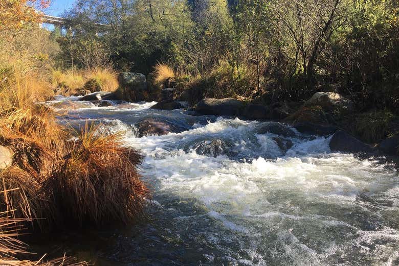 Fleuve Louredo