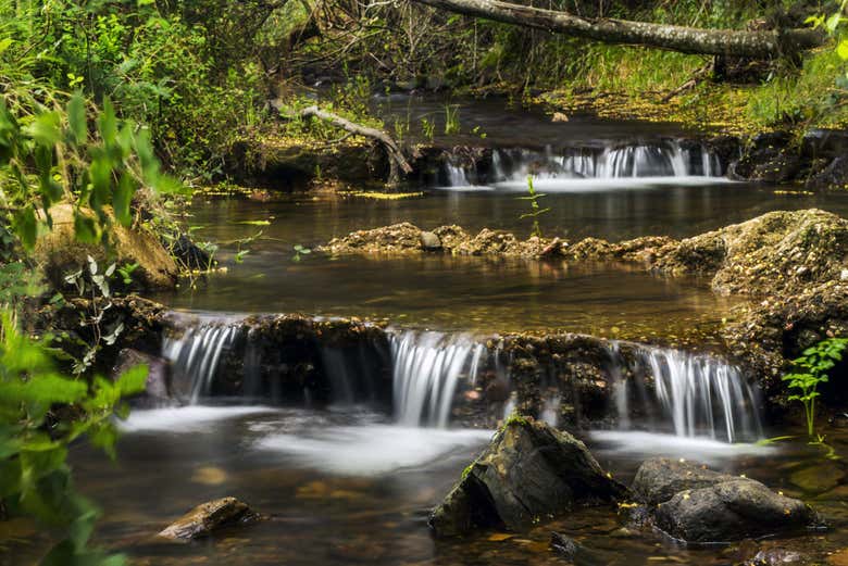 Brook in Monchique