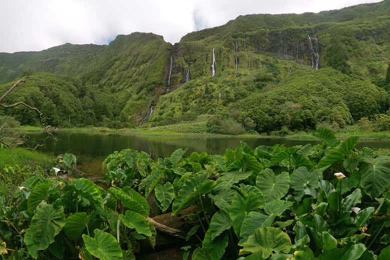 Poço da Ribeira do Ferreiro