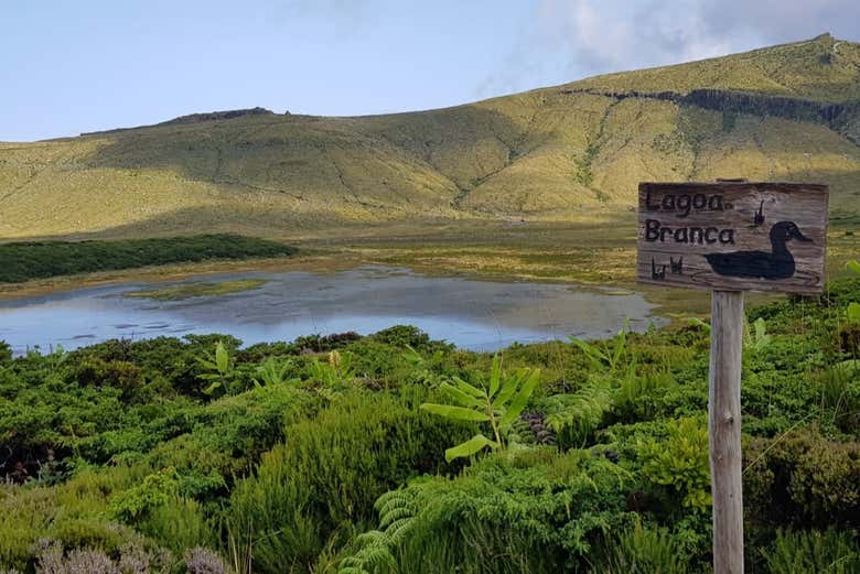 Laguna Branca