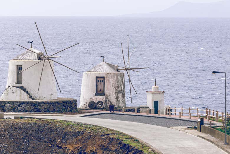 Windmills by the sea